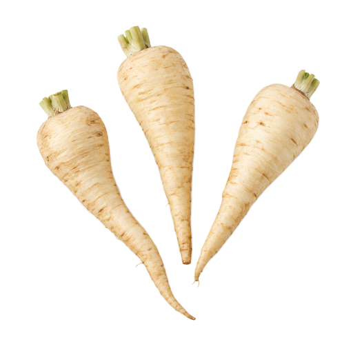 Illustration of Parsnips, raw