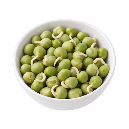 Illustration of Peas, mature seeds, sprouted, raw