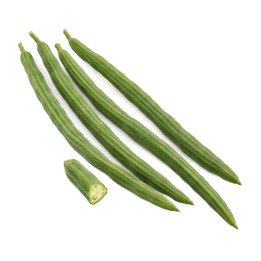 Ilustración de Vainas de moringa, crudas