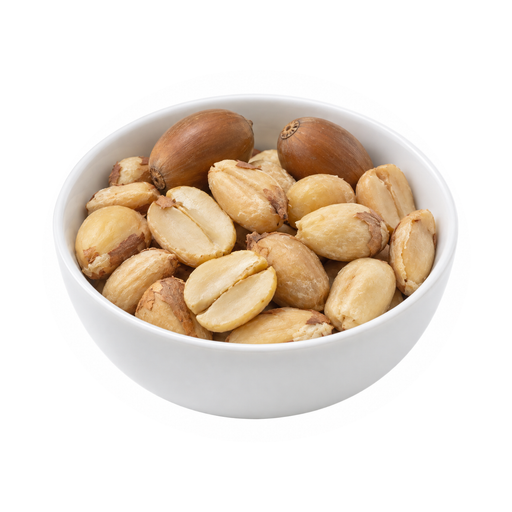 Illustration of Nuts, acorns, dried