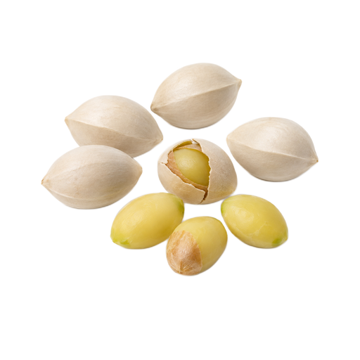 Illustration of Nuts, ginkgo nuts, raw