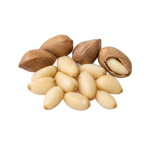 Illustration of Nuts, pine nuts, pinyon, dried