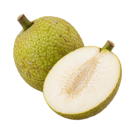 Ilustração de Fruta-pão crua