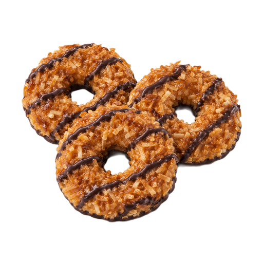 Ilustração de Biscoito de baunilha com caramelo, coco e cobertura de chocolate