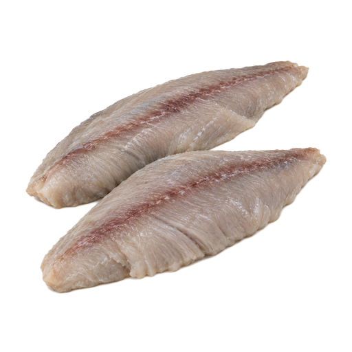 Illustration of Fish, bluefish, raw