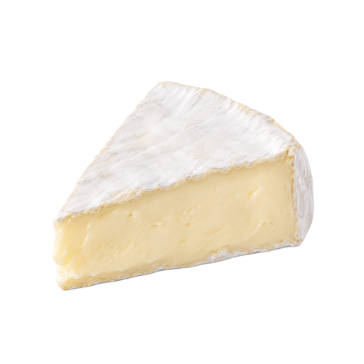 Ilustración de Queso camembert