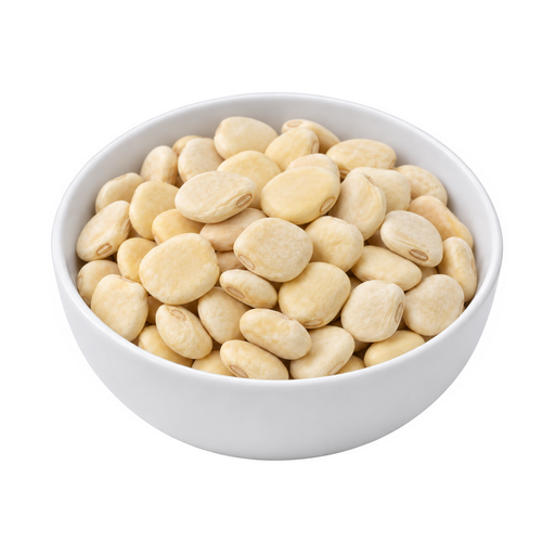 Illustration of Lupins, mature seeds, raw
