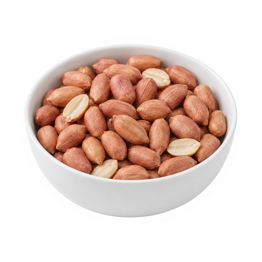 Illustration of Peanuts, all types, raw