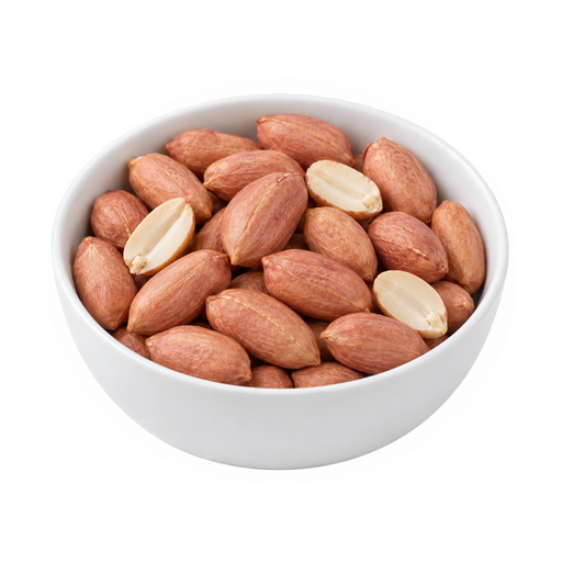 Illustration of Peanuts, virginia, raw