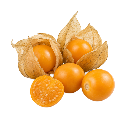 Illustration of Groundcherries, (cape-gooseberries or poha), raw