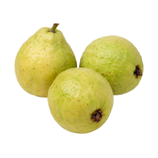 Illustration of Guavas, common, raw