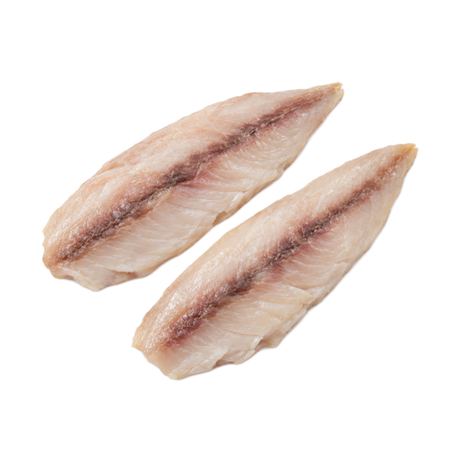 Illustration of Fish, mackerel, spanish, raw