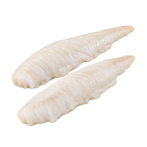 Illustration of Fish, pike, northern, raw