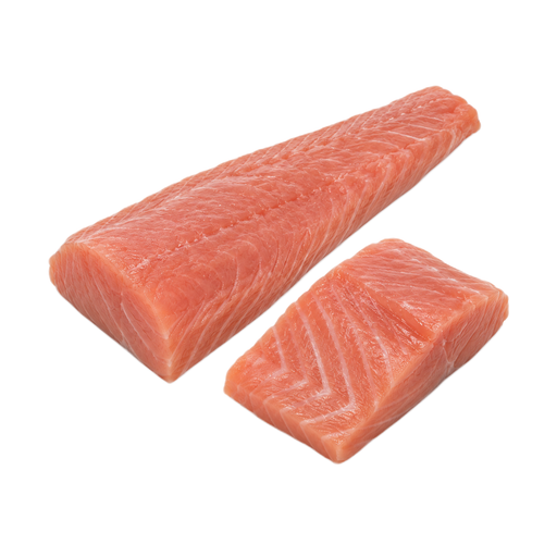 Illustration of Fish, salmon, chum, raw