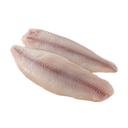 Illustration of Fish, shad, american, raw