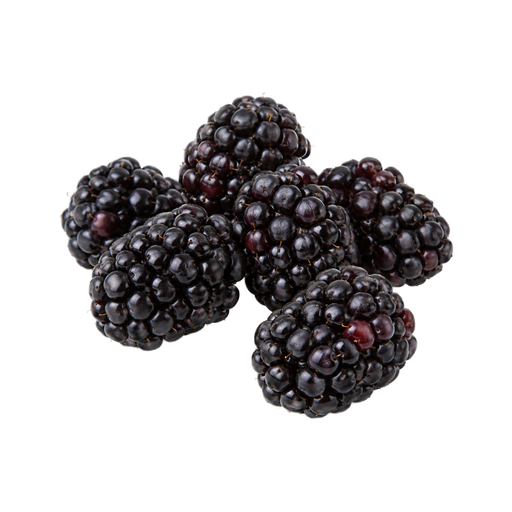 Ilustración de Moras crudas