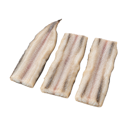 Illustration of Fish, eel, mixed species, raw