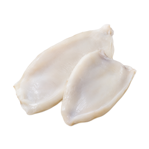 Illustration of Mollusks, cuttlefish, mixed species, raw
