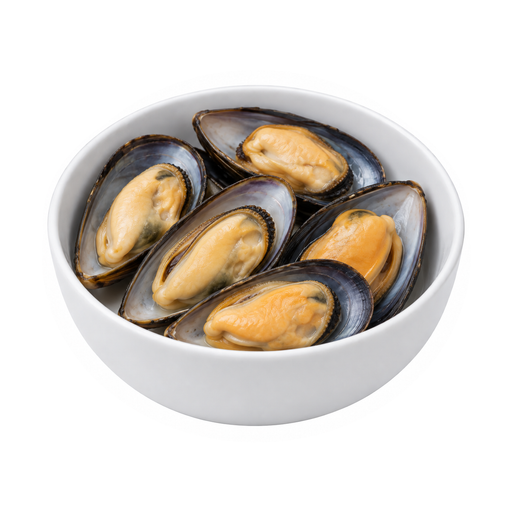 Illustration of Mollusks, mussel, blue, cooked, moist heat