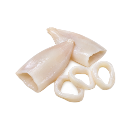 Illustration of Mollusks, squid, mixed species, raw