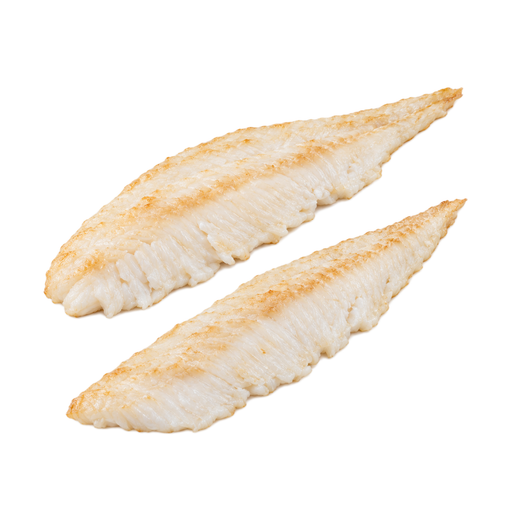 Illustration of Fish, turbot, european, cooked, dry heat