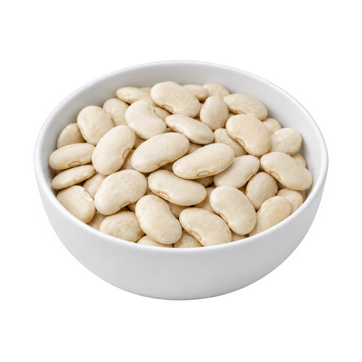 Illustration of Lima beans, large, mature seeds, raw