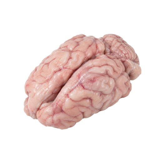 Illustration of Lamb, New Zealand, imported, brains, raw