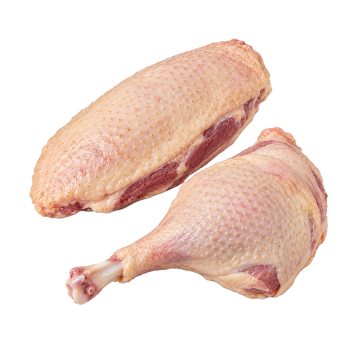Illustration of Goose, domesticated, meat and skin, raw