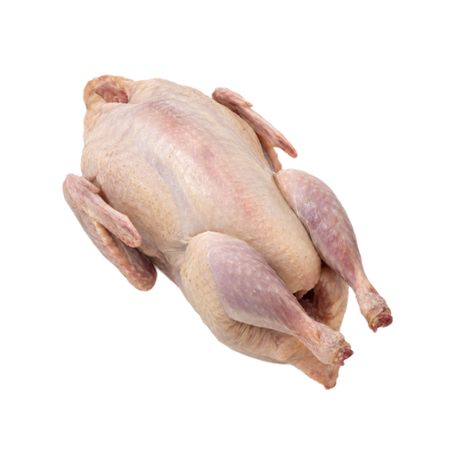 Illustration of Pheasant, raw, meat and skin