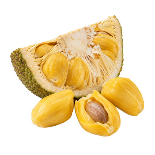 Illustration of Jackfruit, raw