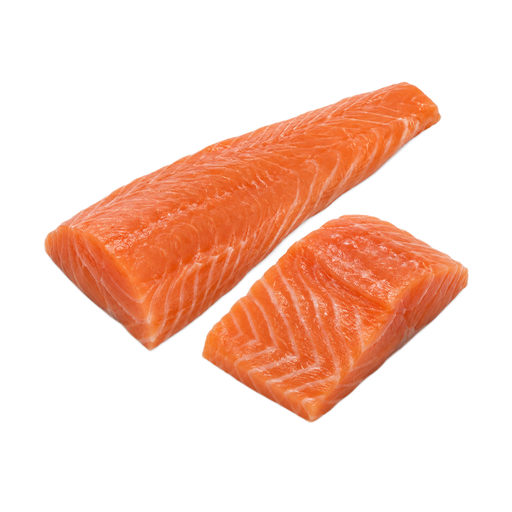 Illustration of Fish, salmon, coho, wild, raw