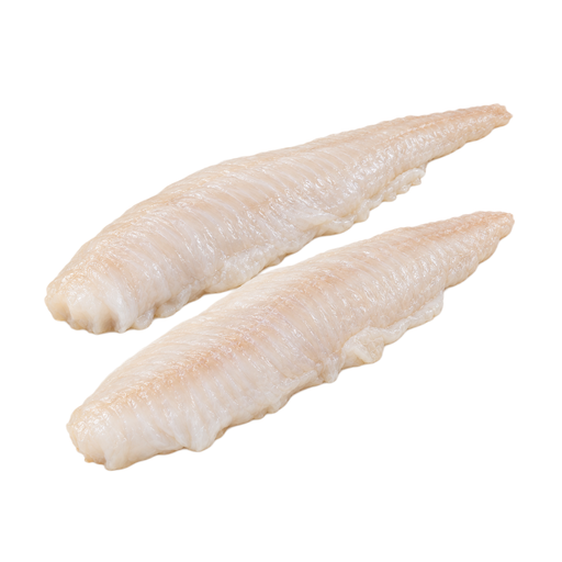 Illustration of Fish, sea bass, mixed species, raw