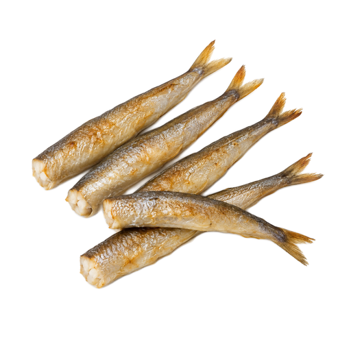 Illustration of Fish, smelt, rainbow, cooked, dry heat