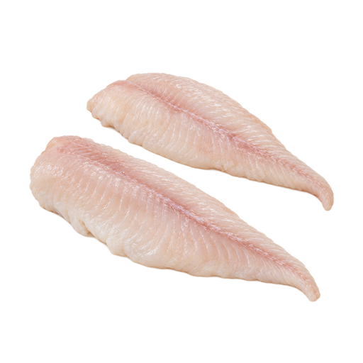 Illustration of Fish, sucker, white, raw