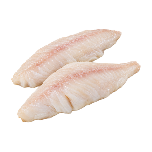 Illustration of Fish, tilapia, raw
