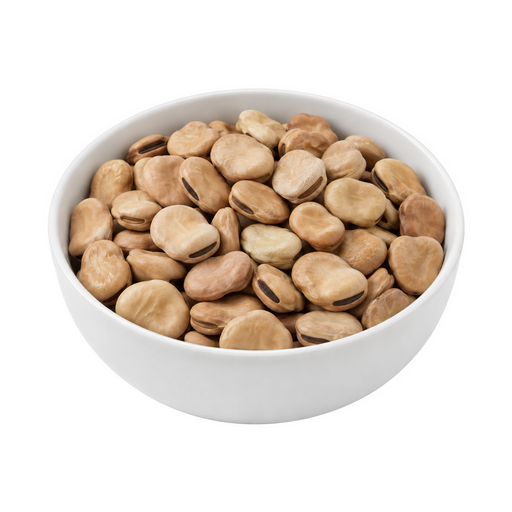 Ilustração de Favas, sementes maduras, cruas
