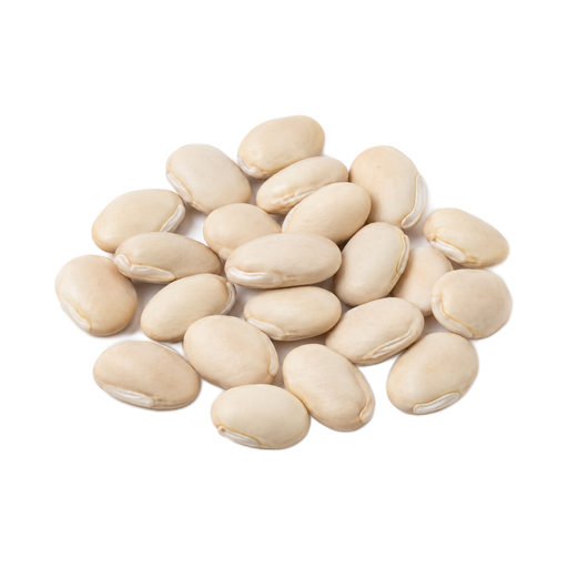 Illustration of Hyacinth beans, mature seeds, raw