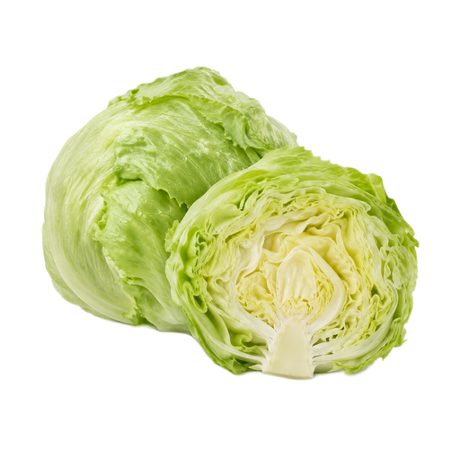Illustration of Lettuce, iceberg, raw