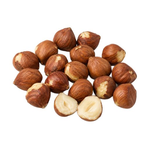 Illustration of Nuts, hazelnuts or filberts, raw