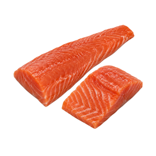 Illustration of Fish, salmon, sockeye, wild caught, raw