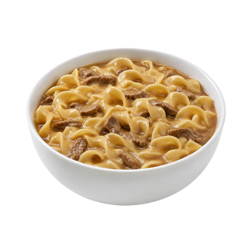 Illustration of Beef and noodles with gravy