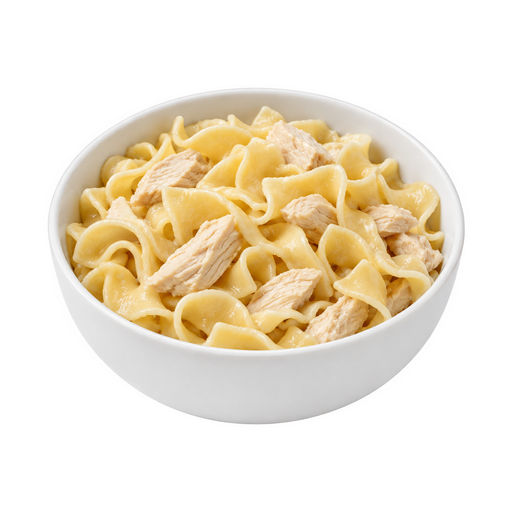 Illustration of Chicken or turkey and noodles, no sauce