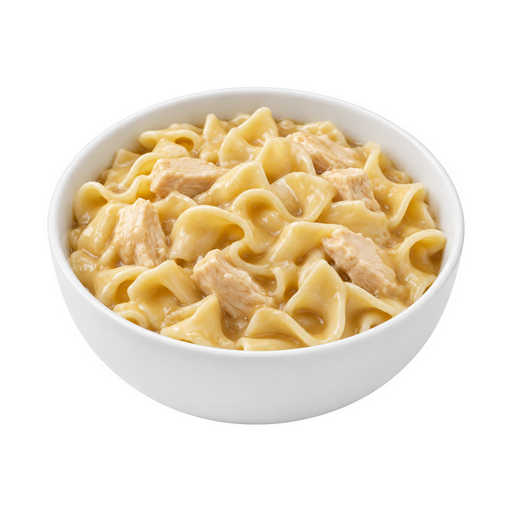 Illustration of Chicken or turkey and noodles with gravy