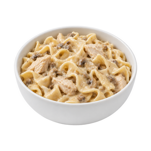Illustration of Chicken or turkey and noodles with mushroom sauce
