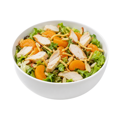 Illustration of Asian chicken or turkey garden salad with crispy noodles, chicken and/or turkey, lettuce, fruit, nuts, crispy noodles, no dressing