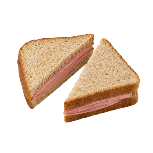 Illustration of Bologna sandwich on wheat