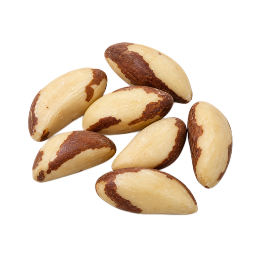 Illustration of Brazil nuts