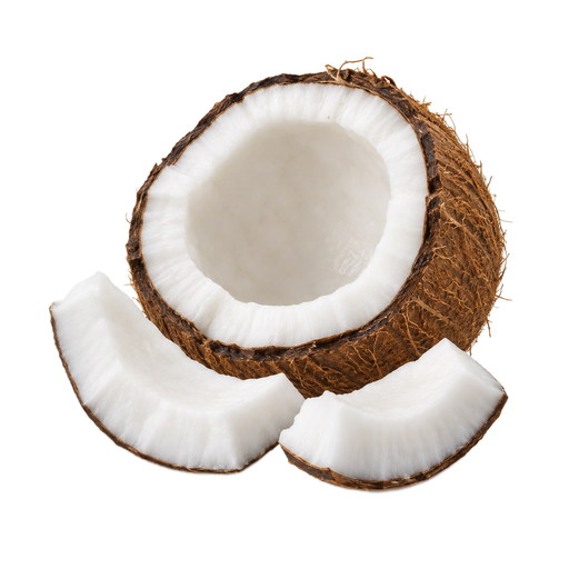 Illustration of Coconut, fresh