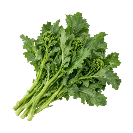 Illustration of Broccoli raab, raw