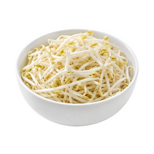 Illustration of Bean sprouts, raw